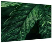 Obraz - Detail hárku (90x60 cm)