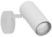 Candellux Biele stropné/nástenné svietidlo Colly pre žiarovku GU10 91-01603