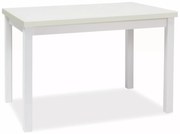 Jídelní stůl Adam 120 cm bílý