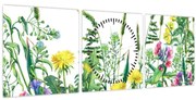 Obraz - Maľované lúčne kvety (s hodinami) (90x30 cm)