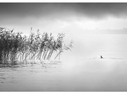 Plátno maľba By the Lake II