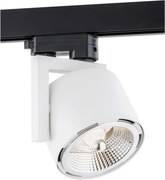 Argon 4750 - Bodové svietidlo ALTO 1xGU10-AR111/12W/230V biela