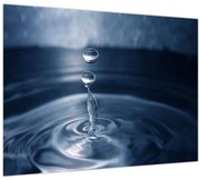 Obraz - Kvapky (70x50 cm)