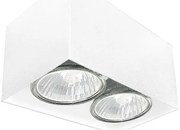 Brosline 1077 - Bodové svietidlo CAGE 2xGU10/10W/230V biela