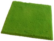 ROUTNER Kúpeľňová predložka UNI COLOR Zelená neon 20120 - Zelená neon / 50 x 50 cm 20120