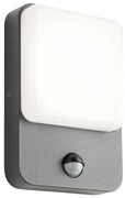 Redo 90134 -LED Vonkajšie nástenné svietidlo COLIN LED/9W/230V 4000K IP54 antracit