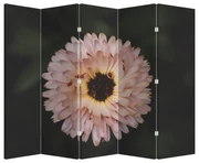 Paraván - Oranžová kvetina (210x170 cm)