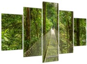 Obraz - Závesný most (150x105 cm)