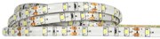 ECOLIGHT LED pásik - SMD 2835 - 5m - 60LED/m - 4,8 W/m - IP65 - studená biela