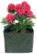 Vyvýšený záhon – Garden Pleasure
