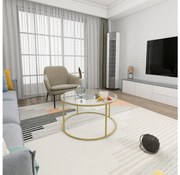 Konferenčný stolík BERLIN 80x45 cm zlatá/číra