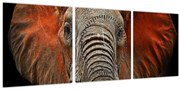 Obraz - Slony z Tsavo (s hodinami) (90x30 cm)