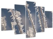 Obraz - Mrazík (150x105 cm)