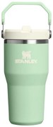 Šalviová zelená termoska z nehrdzavejúcej ocele 600 ml IceFlow™ Flip Straw 2.0 Tumbler Pistachio – Stanley