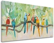 Obraz na plátne PAPAGÁJE | rôzne rozmery