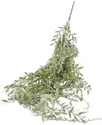 Popínavá rastlina 78cm zelená A2060043