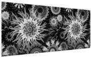 Obraz - Čiernobiele bodliaky (120x50 cm)