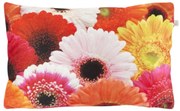 Dekoračný poťah na vankúš SAMARA GERBERA 30x50 cm, farebný