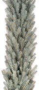 Vianočná girlanda 100% 3D Smrek Ľadový 100cm