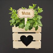 AMADEA Drevený zápich - ceduľka na bylinky Mäta, výška 20 cm, český výrobok