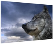 Obraz - Vlčia hlava (90x60 cm)