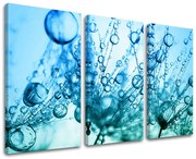 Obraz na stenu KVETY | rôzne rozmery