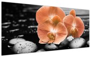 Obraz - Oranžové orchidey (120x50 cm)