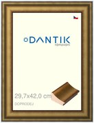 DANTIK rám na obraz 29,7x42 | Doprodej | METAL AU prohlá velká (Plexi Čiré)