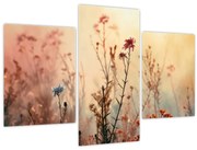 Obraz - Divoké kvety (90x60 cm)