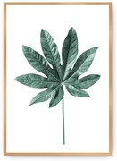 Plagát Leaf Emerald Green