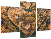 Obraz - Rieka v tvare srdca (90x60 cm)