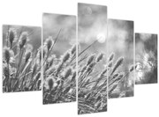 Obraz - Béžová soft grass N⁰1 (150x105 cm)