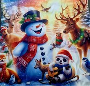 Obliečka na vankúš D 45x45 cm