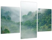 Obraz - Ranná hmla (90x60 cm)