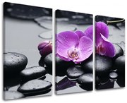 Obraz na stenu FENG SHUI | rôzne rozmery