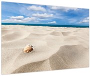 Obraz - Mušle na pláži (90x60 cm)