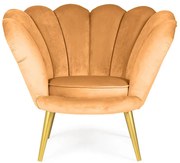 Kreslo Tristan Bluvel 68/zlaté