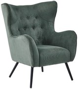 Kreslo Ottawa 9688 BGF 166-13