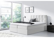 Manželská posteľ Boxspring Maddox (180x200) (ekokoža Soft 017 (biela)). Vlastná spoľahlivá doprava až k Vám domov. 1058925