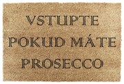 Rohožka z kokosového vlákna 40x60 cm Prosecco – Artsy Doormats