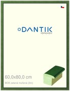 DANTIK rám na obraz 60x80 | BOXzelená mořená (Plexi Čiré)