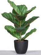 Umelá rastlina v kvetináči Figovník, 40 cm%