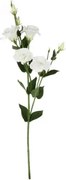 Umelý kvet Eustoma 80 cm, biela%