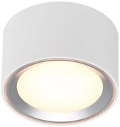 Nordlux - LED Stmievateľné stropné svietidlo FALLON LED/5,5W/230V