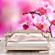Sablio Tapeta Květy Orchidey - 125x75 cm