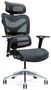 Ergonomické kreslo Ergo 600, mesh, čierne