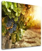 Obraz na stenu KUCHYŇA | rôzne rozmery