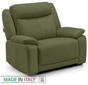 Kožené kreslo CONTINENTAL 1P, pistáciová (salvia 336)