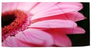 Sablio Uterák Ružová gerbera - 30x50 cm