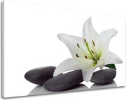 Obraz na stenu FENG SHUI FS029E11